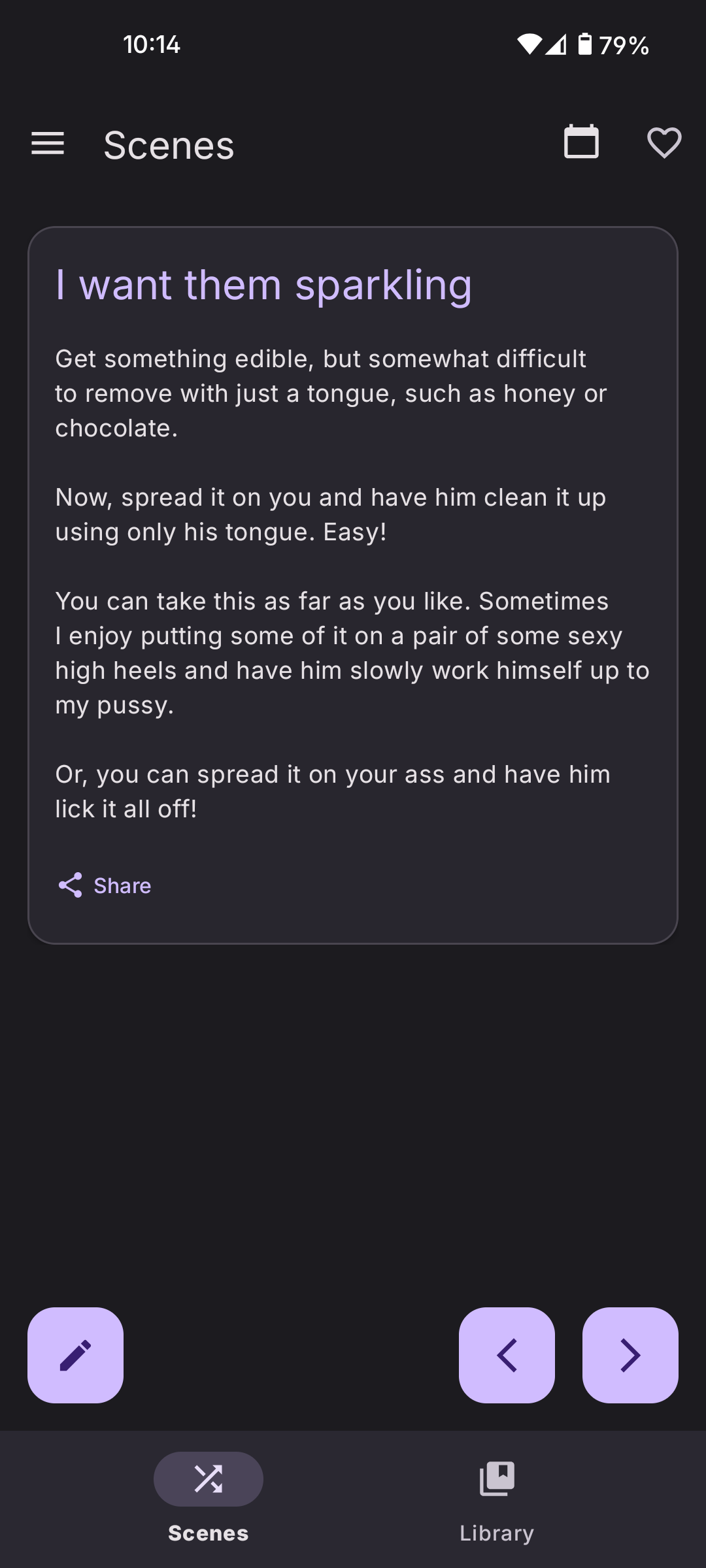 Femdom Scenes Interface
